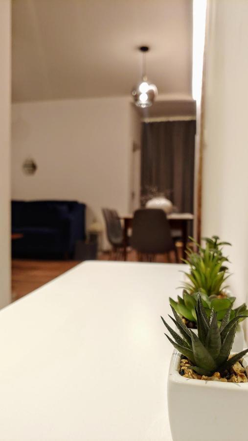 Apartament Chopin Gliwiceアパートメント エクステリア 写真